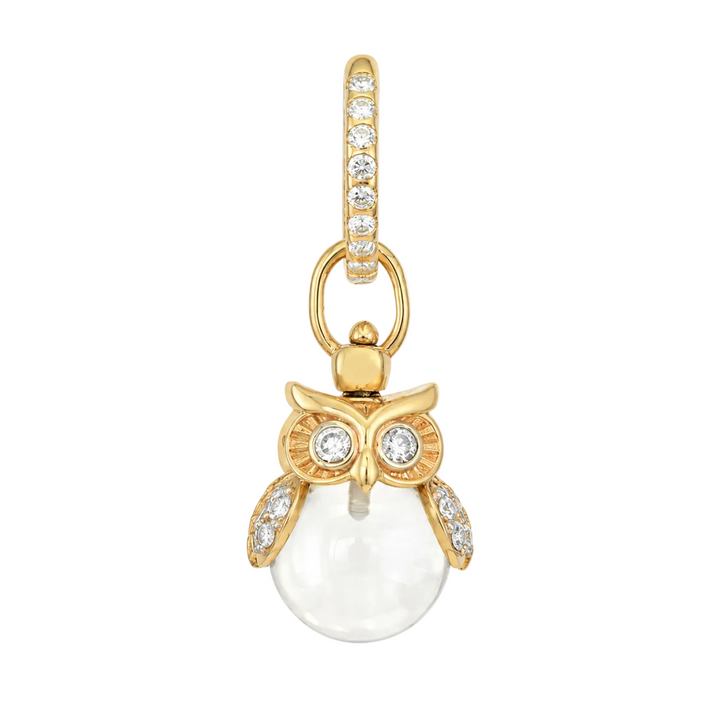 Eyes of the Night Owl Amulet Charm With Rock Crystal