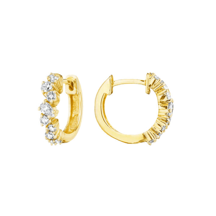 Petite Stardust Hoop Earring