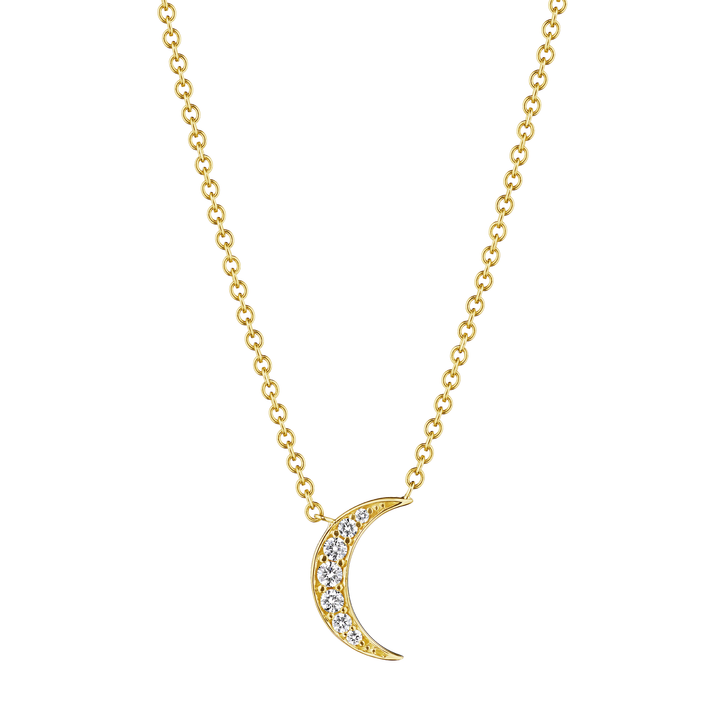 Petite Crescent Moon Necklace